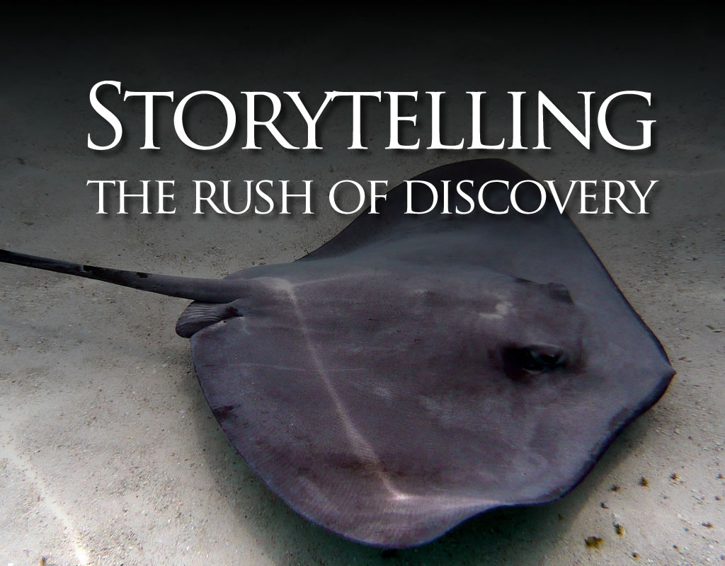storytelling: rush of discovery